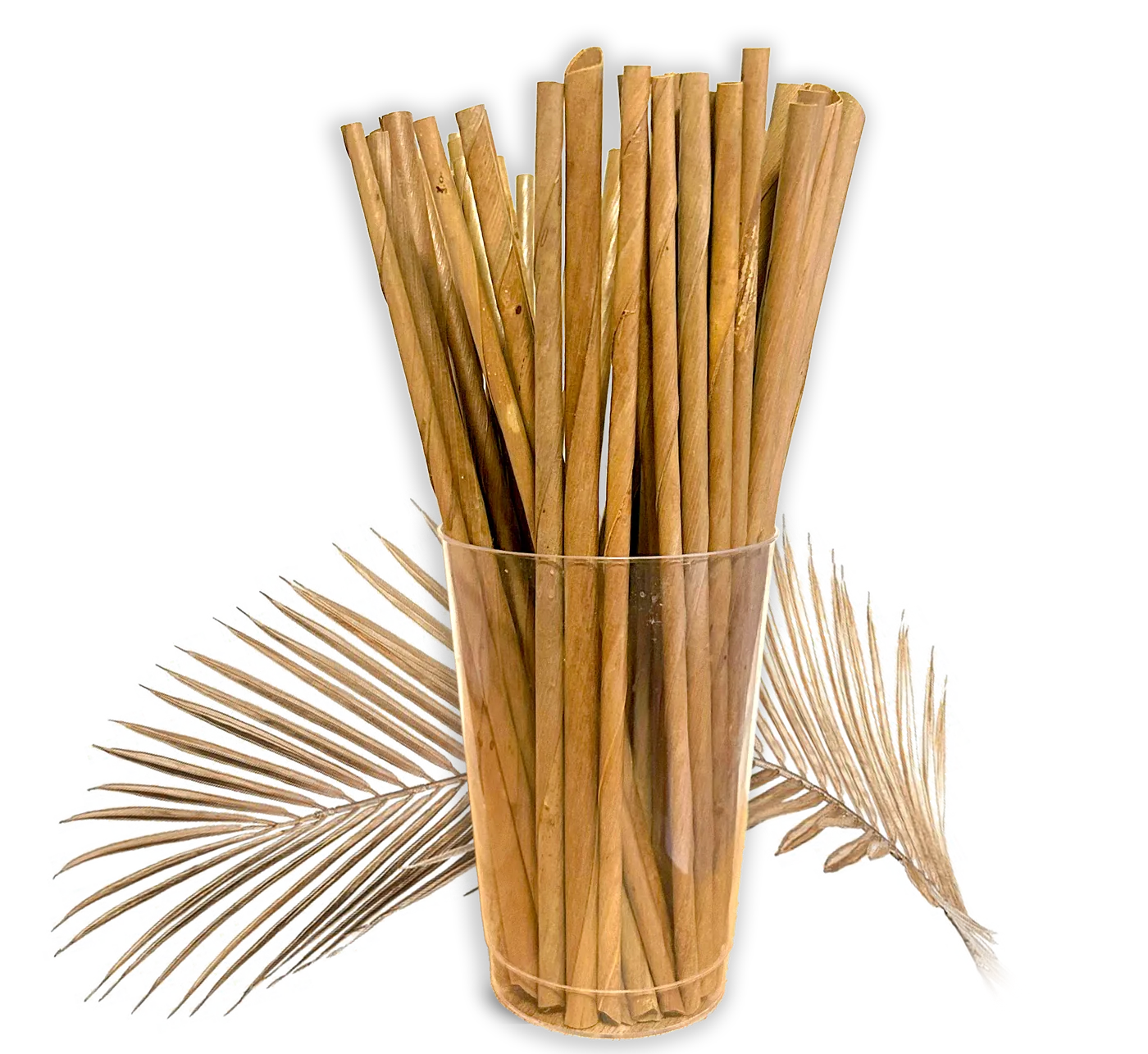 Cocopac coconut leaf straws in a glass